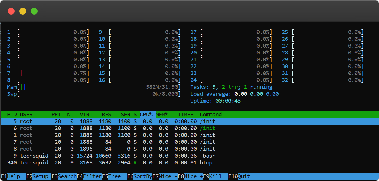 htop process expore