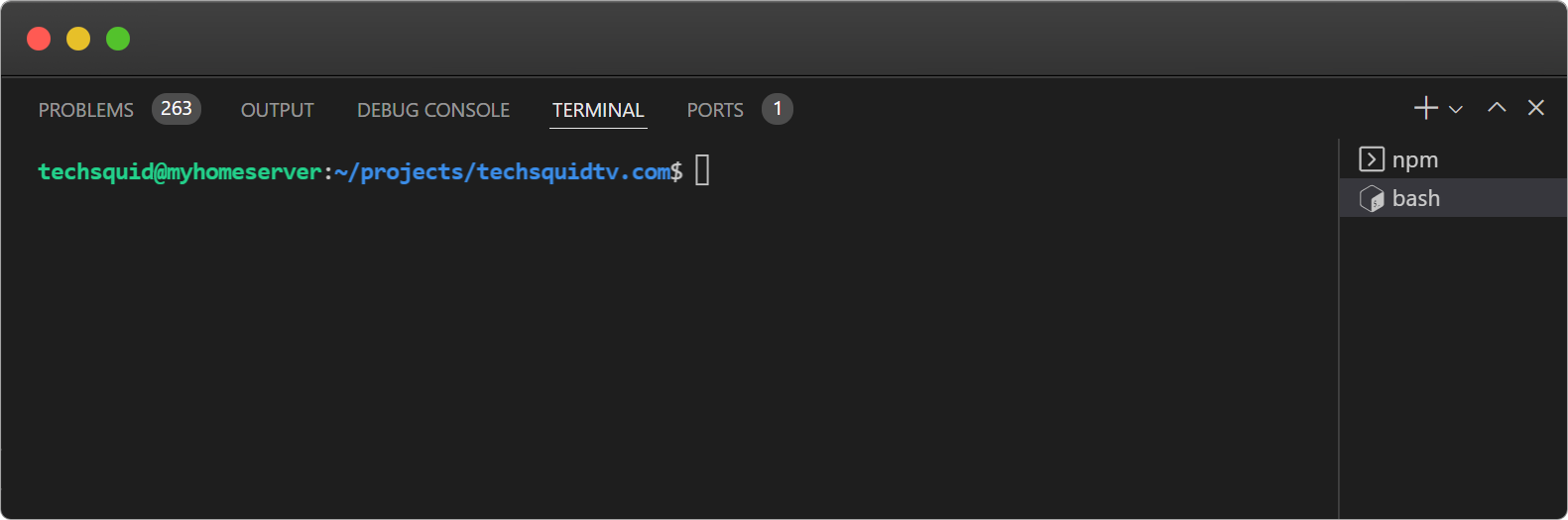 VS Code Terminal